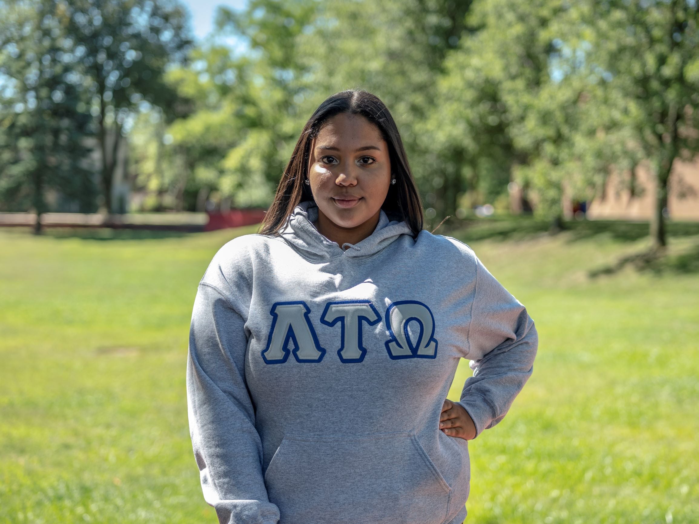 Lambda Tau Omega Hoodie Grey